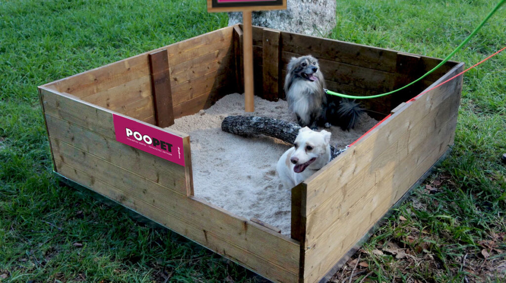 ZEOGREEN POOP NEW2 1024x573